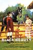 Black Beauty (1921) Thumbnail