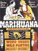 Marihuana (1936) Thumbnail