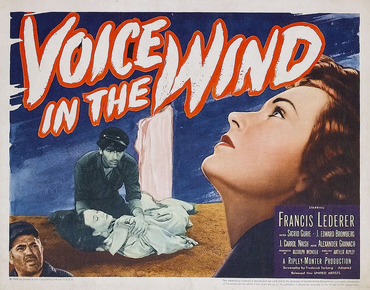 Extra Large Movie Poster Image for A Voice in the Wind 