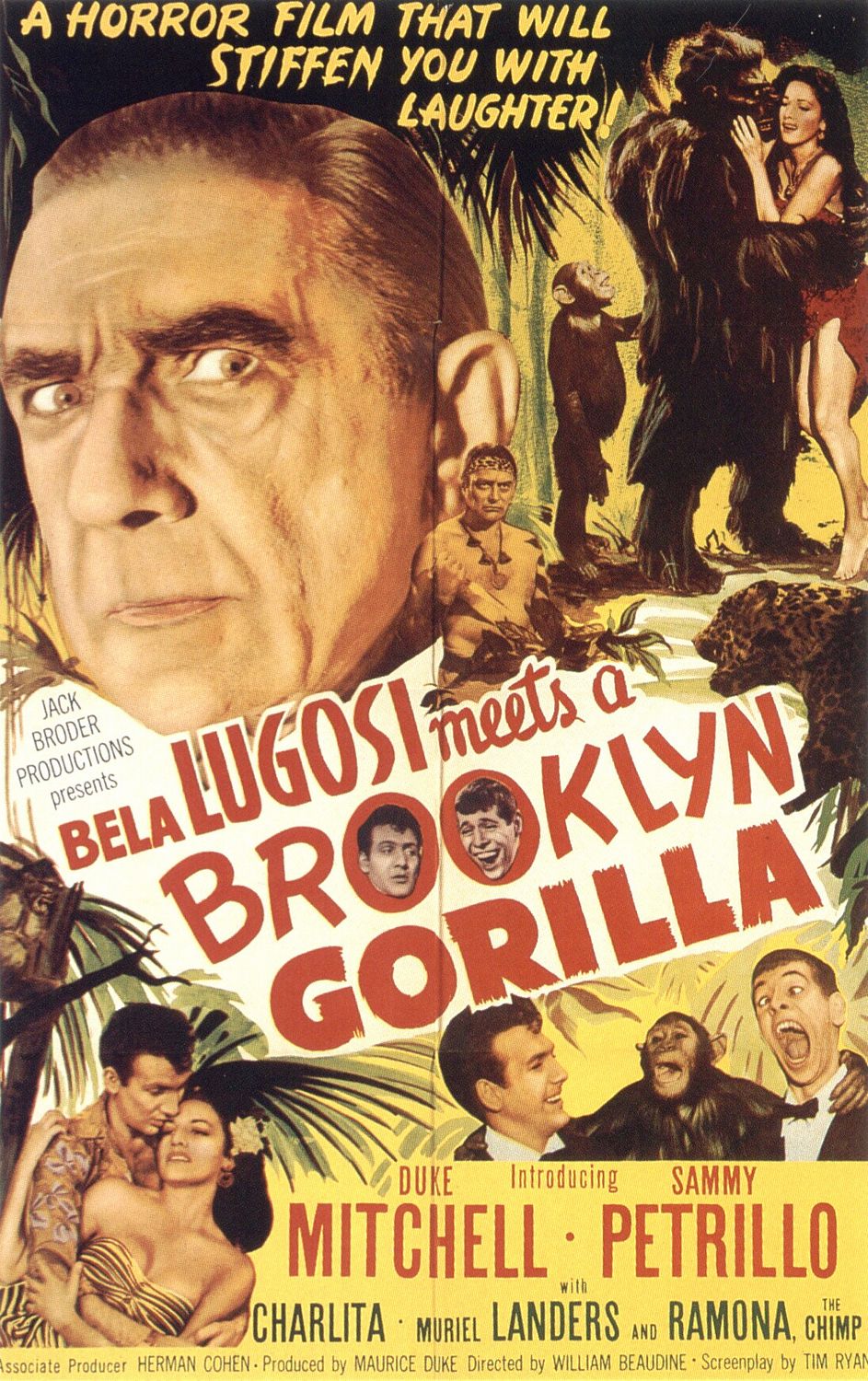 Extra Large Movie Poster Image for Bela Lugosi Meets a Brooklyn Gorilla (#2 of 2)