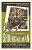 The Incredible Shrinking Man (1957) Thumbnail