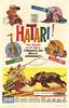 Hatari! (1962) Thumbnail