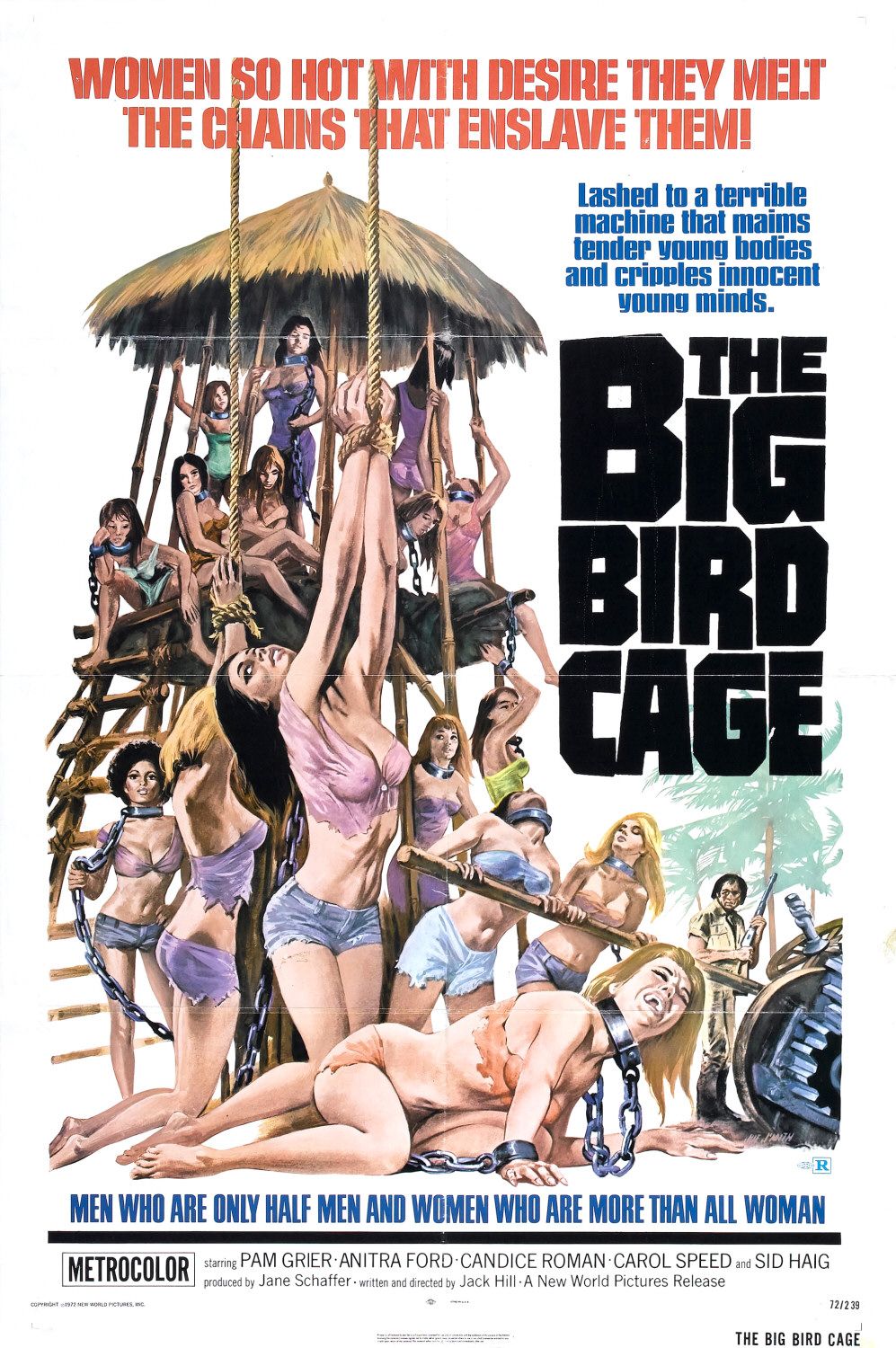 Extra Large Movie Poster Image for The Big Bird Cage 