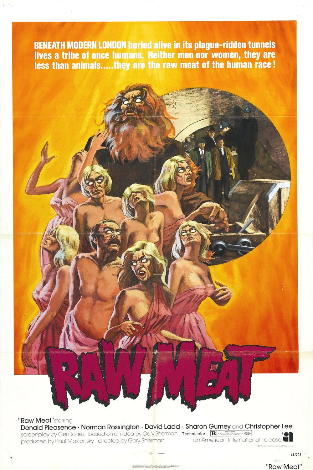 Extra Large Movie Poster Image for Raw Meat 
