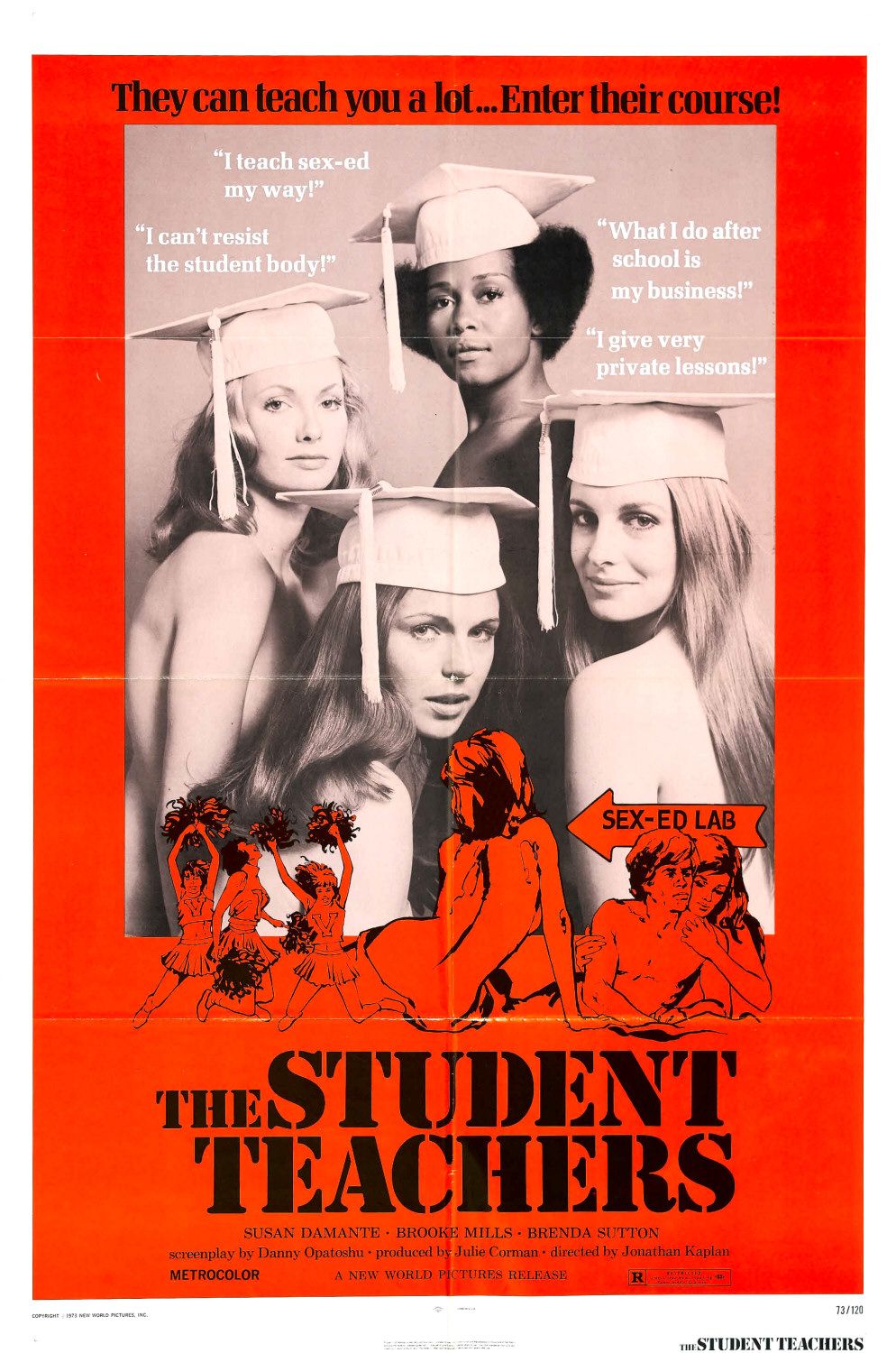 Extra Large Movie Poster Image for The Student Teachers 