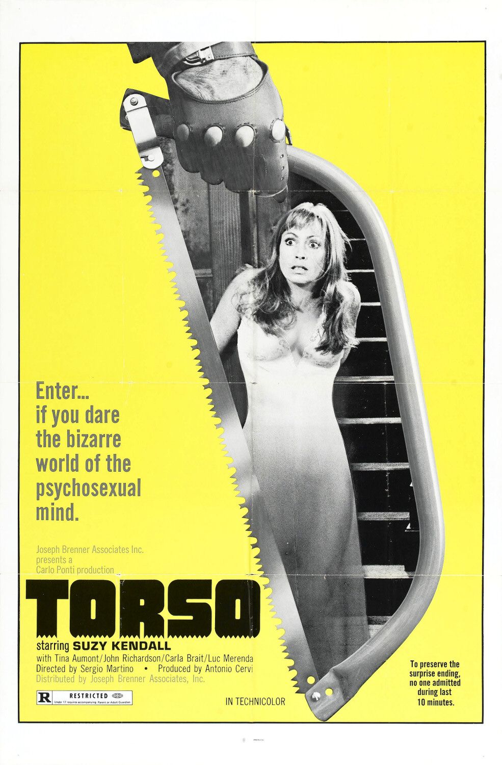 Extra Large Movie Poster Image for Torso 