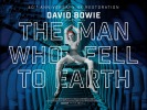 The Man Who Fell to Earth (1976) Thumbnail