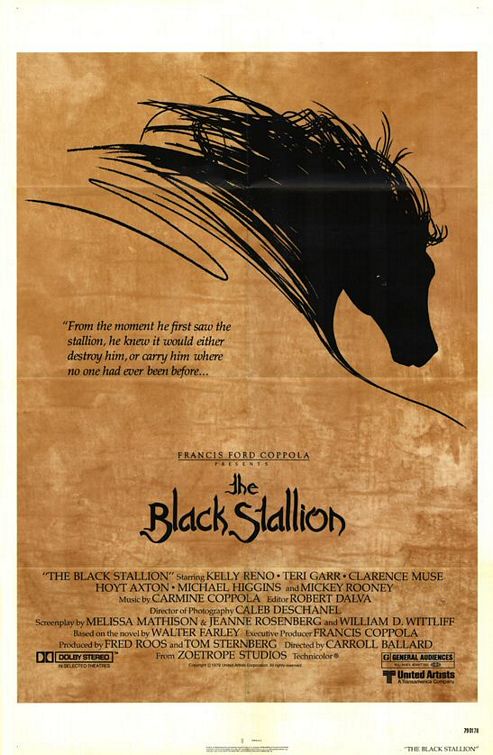 Black Stallion Film