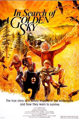 In Search of a Golden Sky Movie Poster