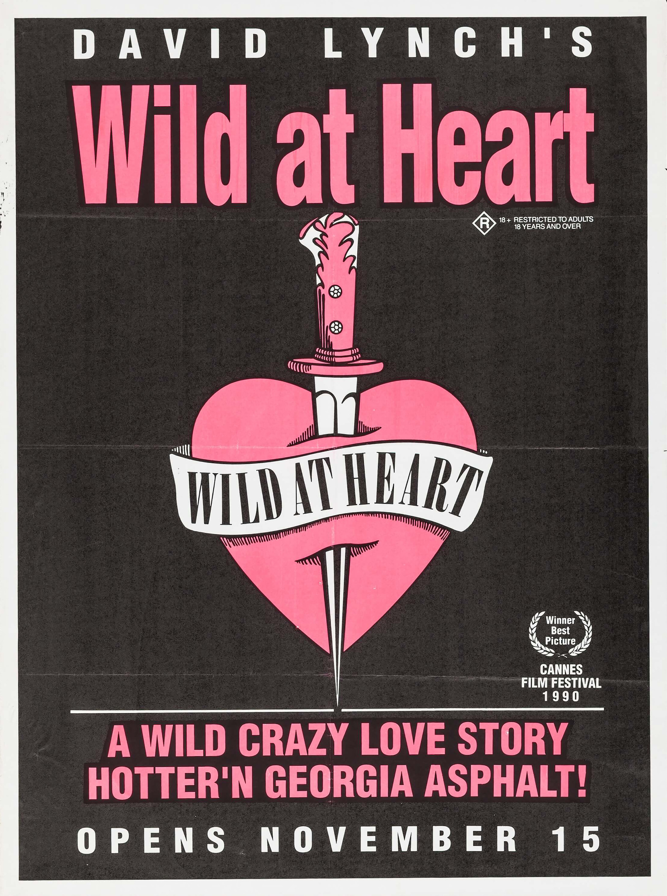 Wild at heart cover film