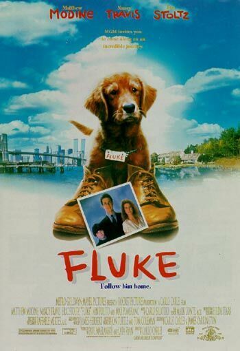 Fluke movie