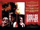 Amores Perros (2000) Thumbnail