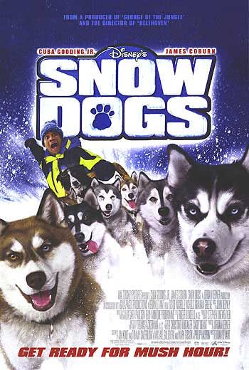 Snow Dog Race