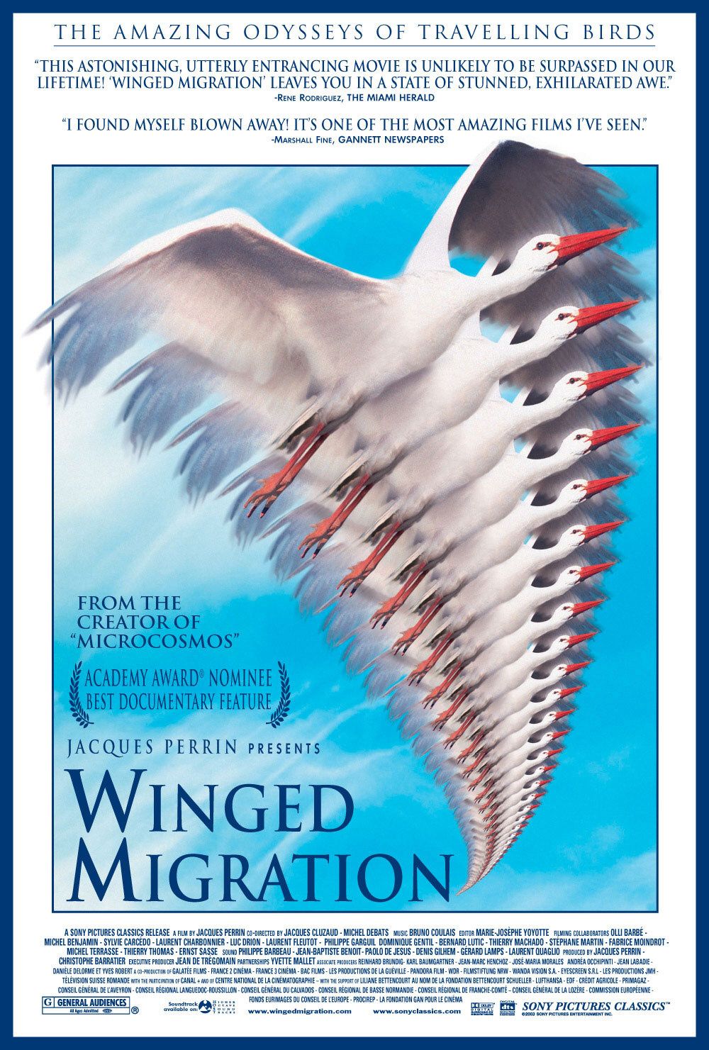 Extra Large Movie Poster Image for Winged Migration (#1 of 4)