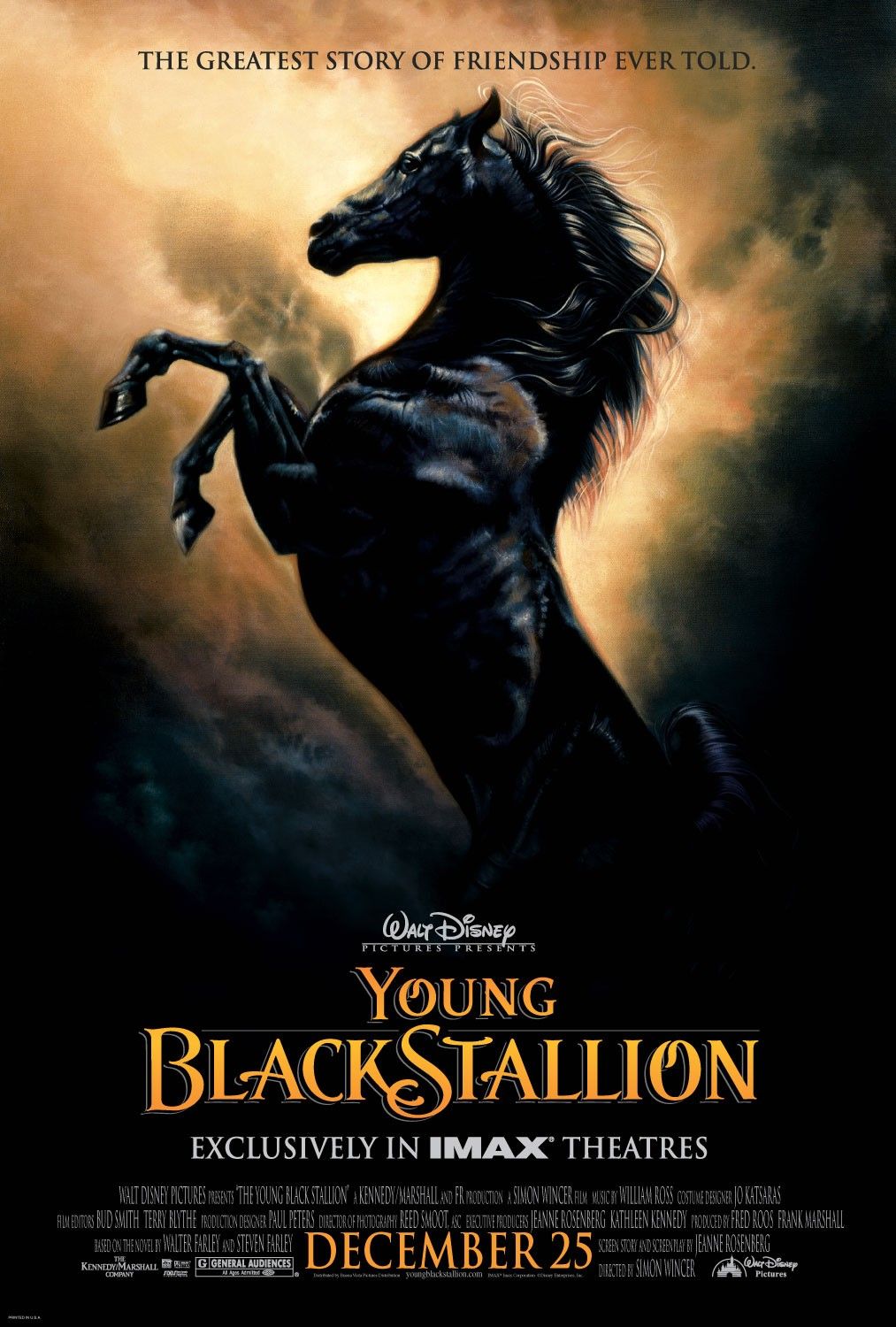 Extra Large Movie Poster Image for Young Black Stallion 