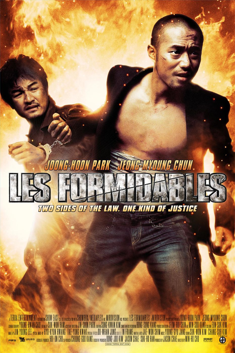 Extra Large Movie Poster Image for Formidables, Les 