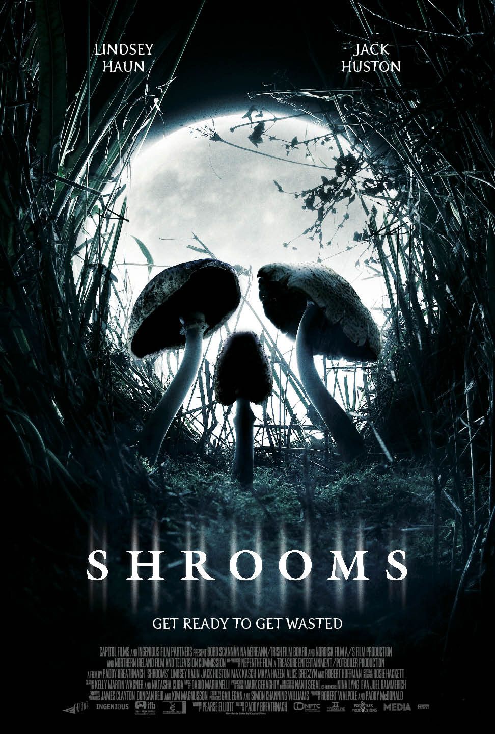 Extra Large Movie Poster Image for Shrooms (#1 of 2)