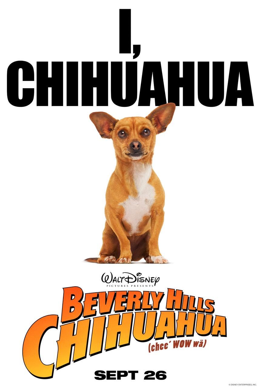 Extra Large Movie Poster Image for Beverly Hills Chihuahua (#2 of 5)