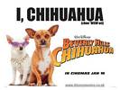 Beverly Hills Chihuahua (2008) Thumbnail