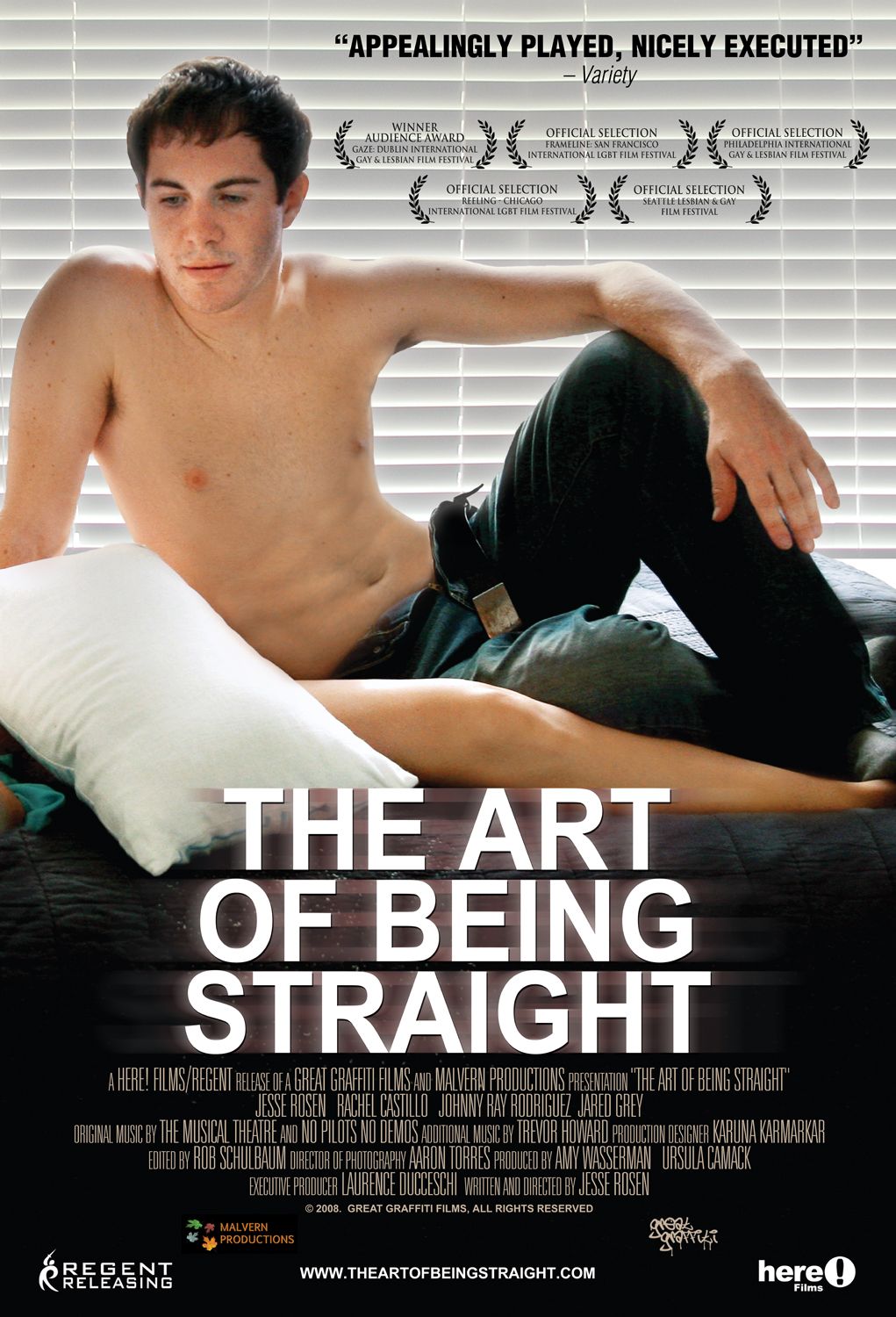 Extra Large Movie Poster Image for The Art of Being Straight 