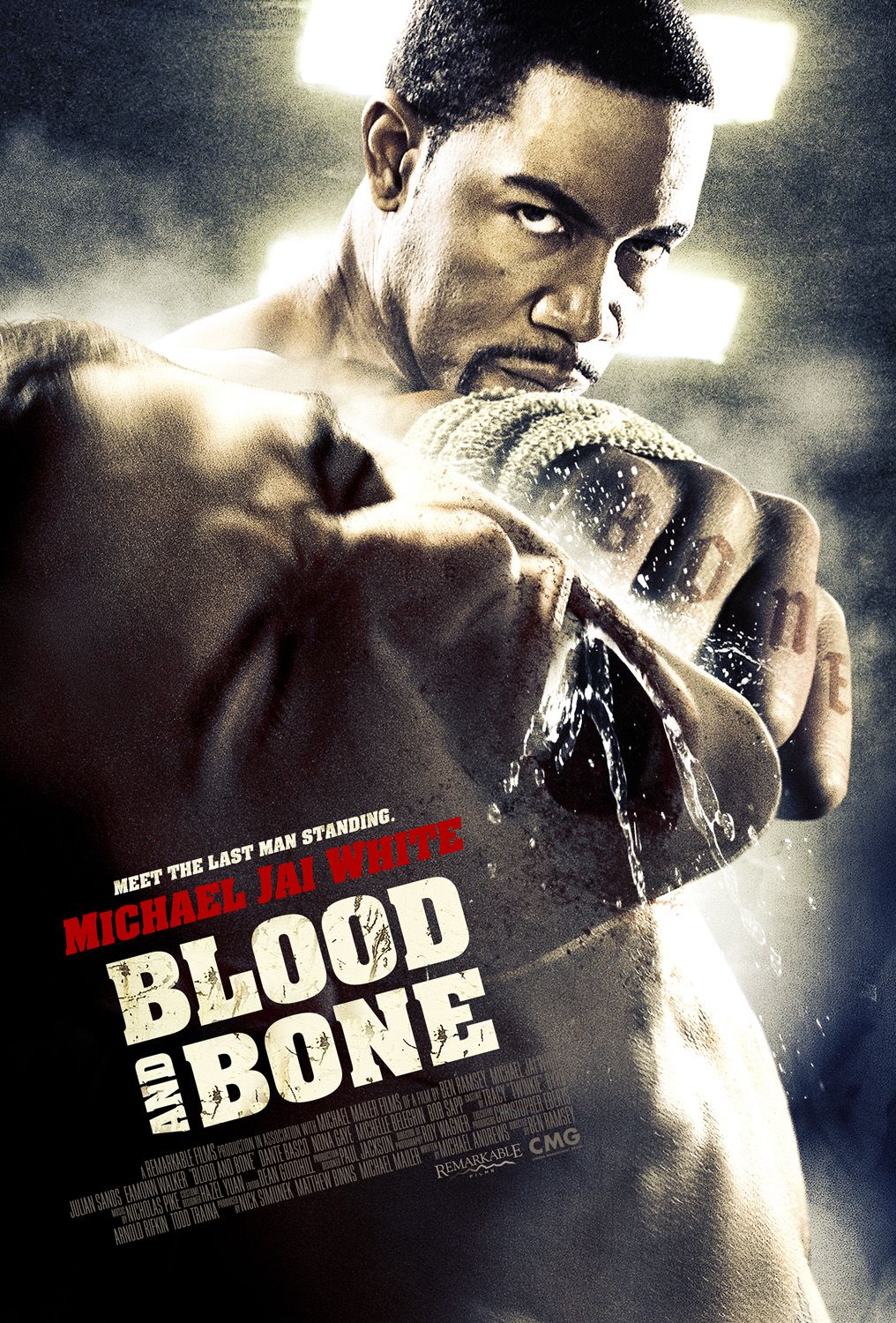 Extra Large Movie Poster Image for Blood and Bone 