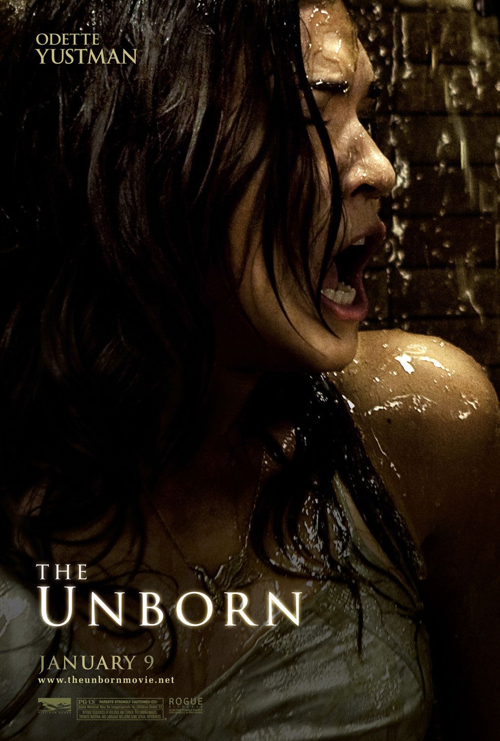 Extra Large Movie Poster Image for The Unborn (#3 of 5)