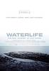 Waterlife (2009) Thumbnail