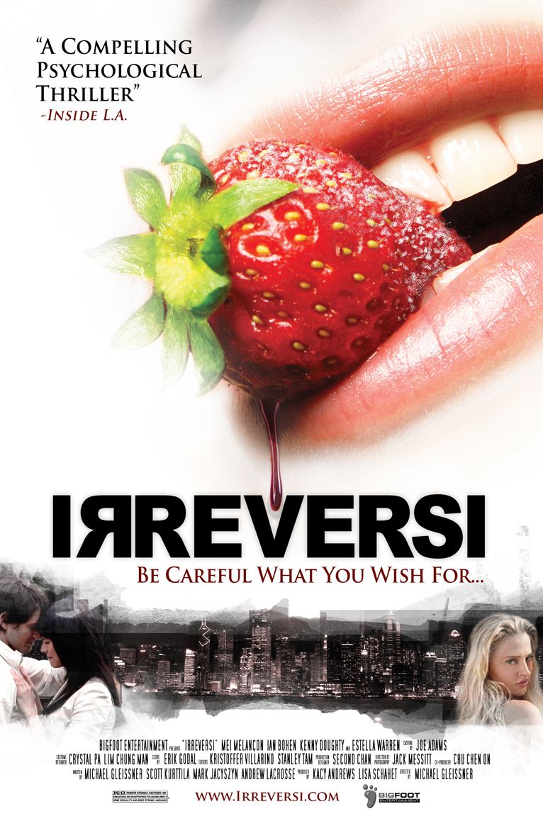 Extra Large Movie Poster Image for Irreversi 