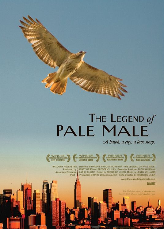The Legend of Pale Male Movie Poster