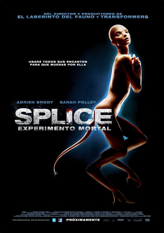 splice movie free