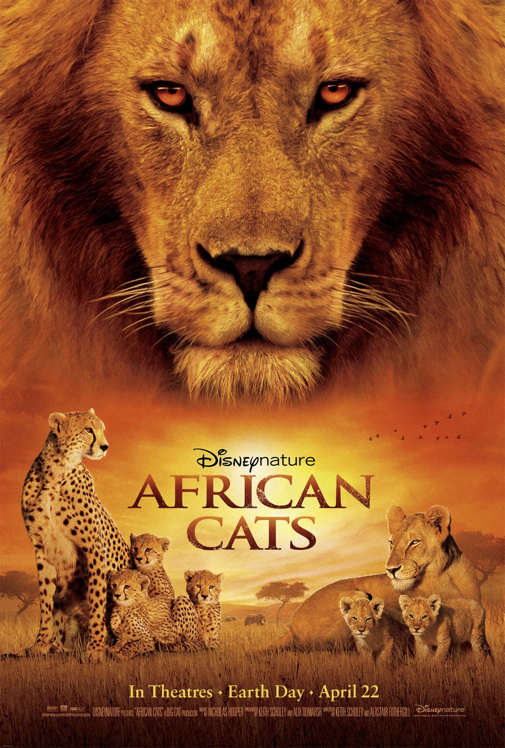 Extra Large Movie Poster Image for African Cats: Kingdom of Courage (#1 of 2)