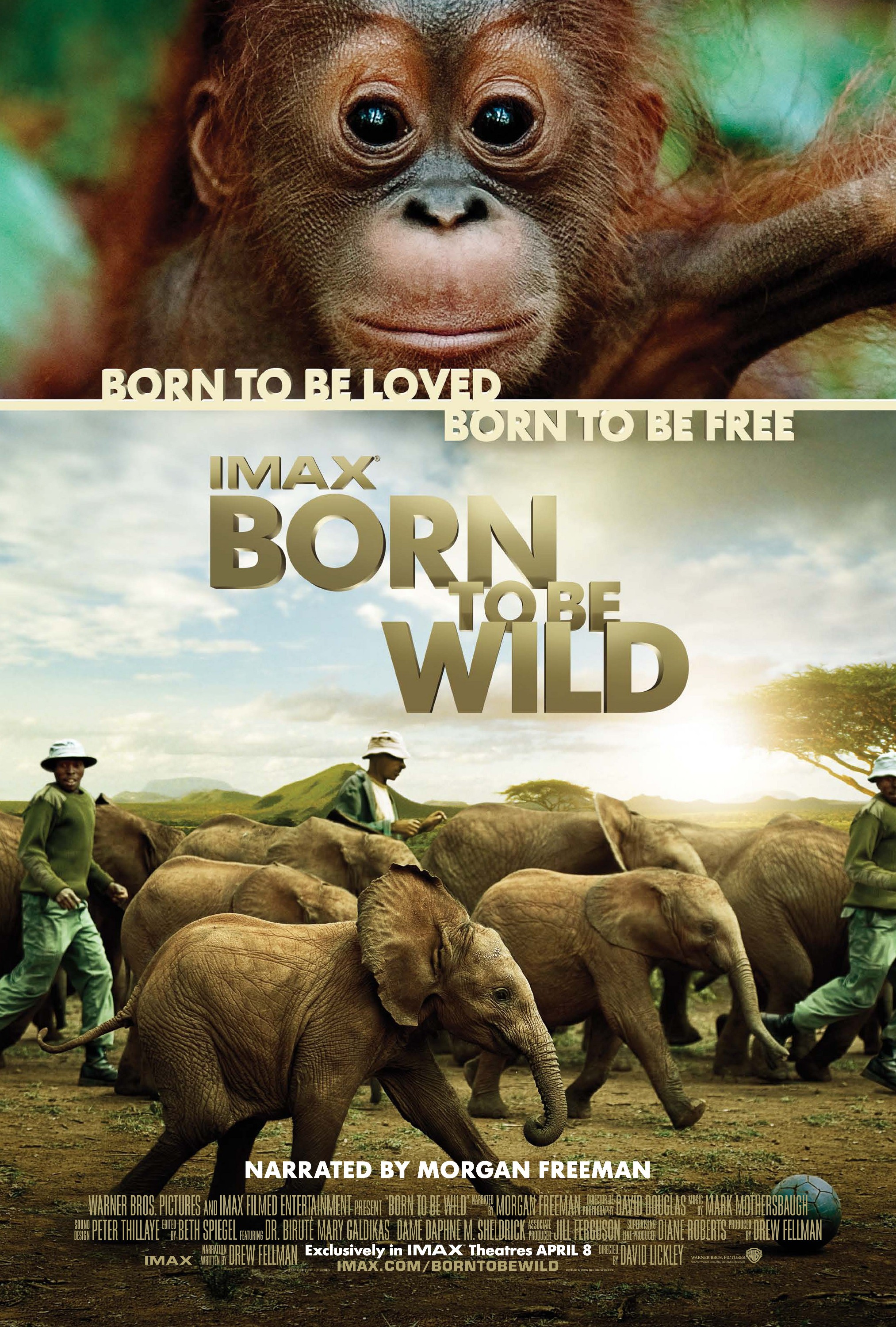 Mega Sized Movie Poster Image for Born to Be Wild 