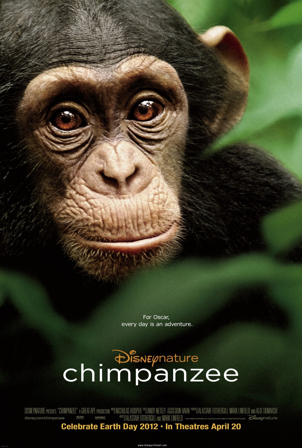 Extra Large Movie Poster Image for Chimpanzee 