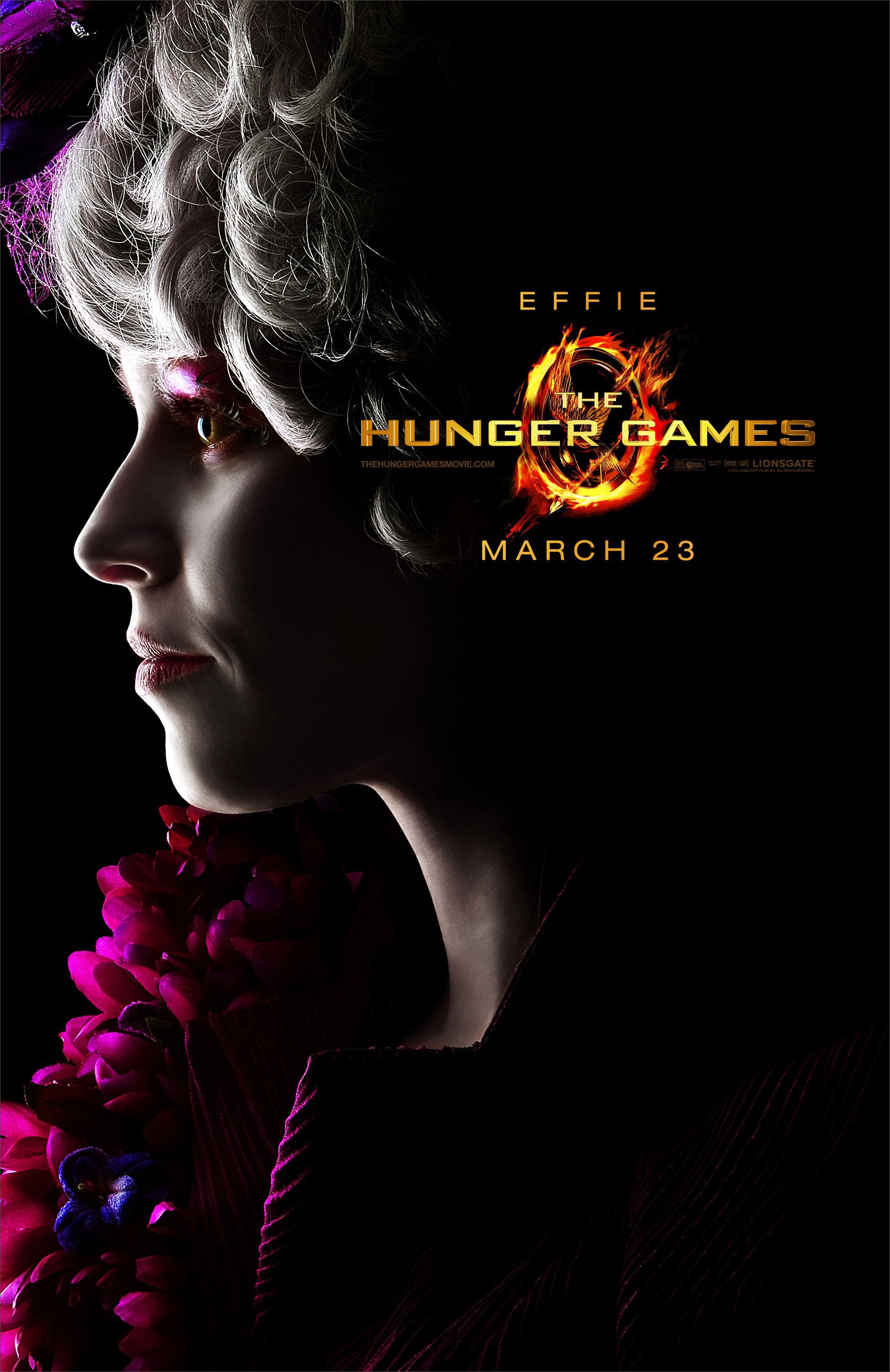 Mega Sized Movie Poster Image for The Hunger Games (#19 of 28)