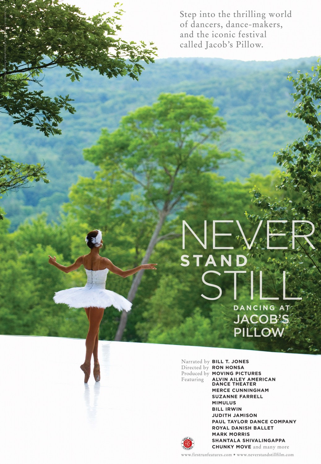 Extra Large Movie Poster Image for Never Stand Still 