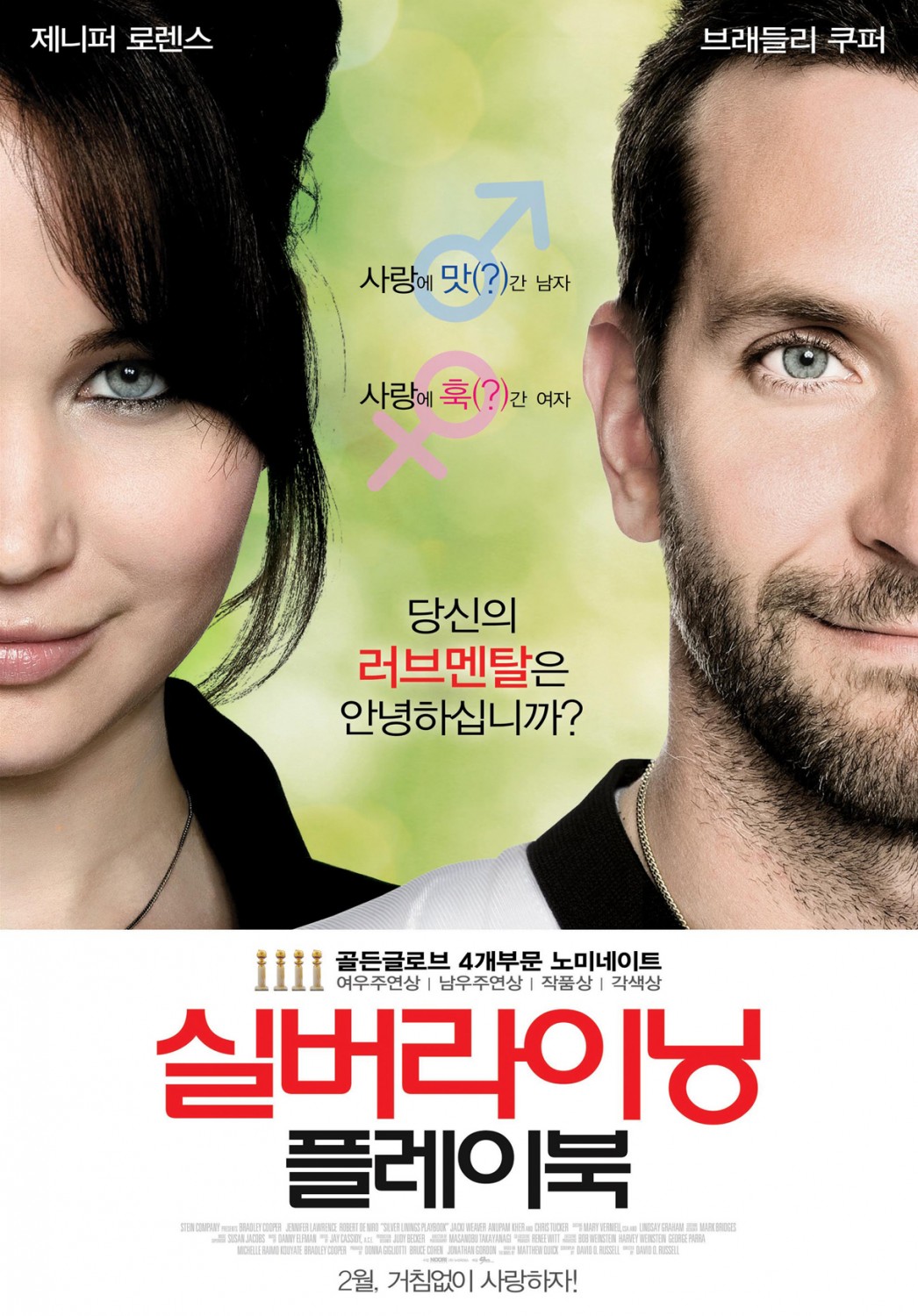 Extra Large Movie Poster Image for Silver Linings Playbook (#6 of 6)