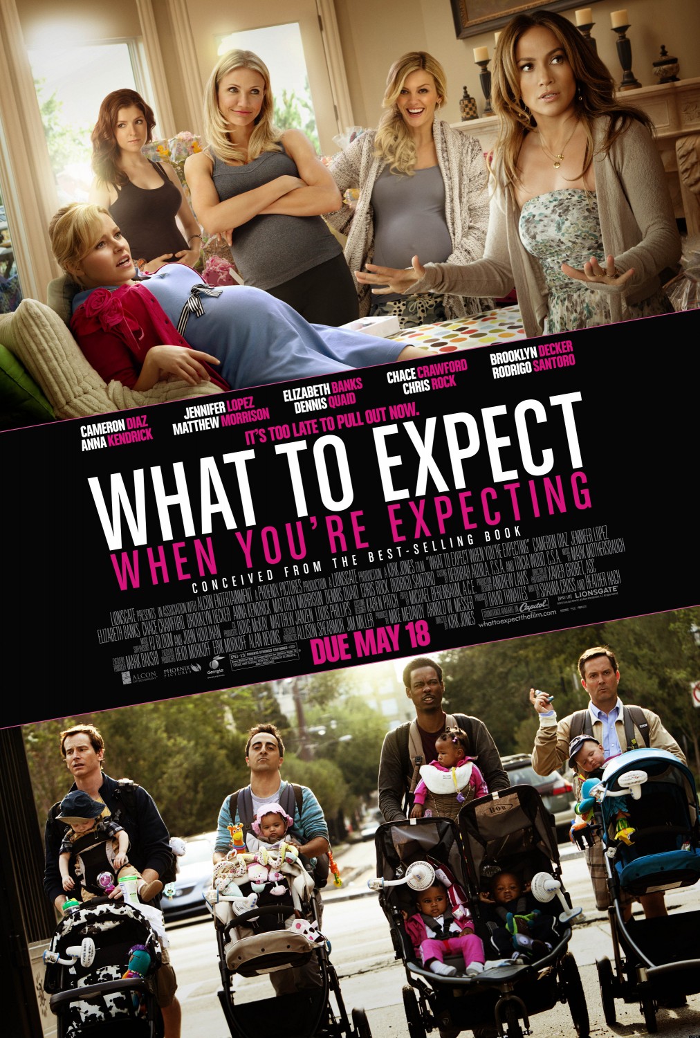 Extra Large Movie Poster Image for What to Expect When You're Expecting (#8 of 8)