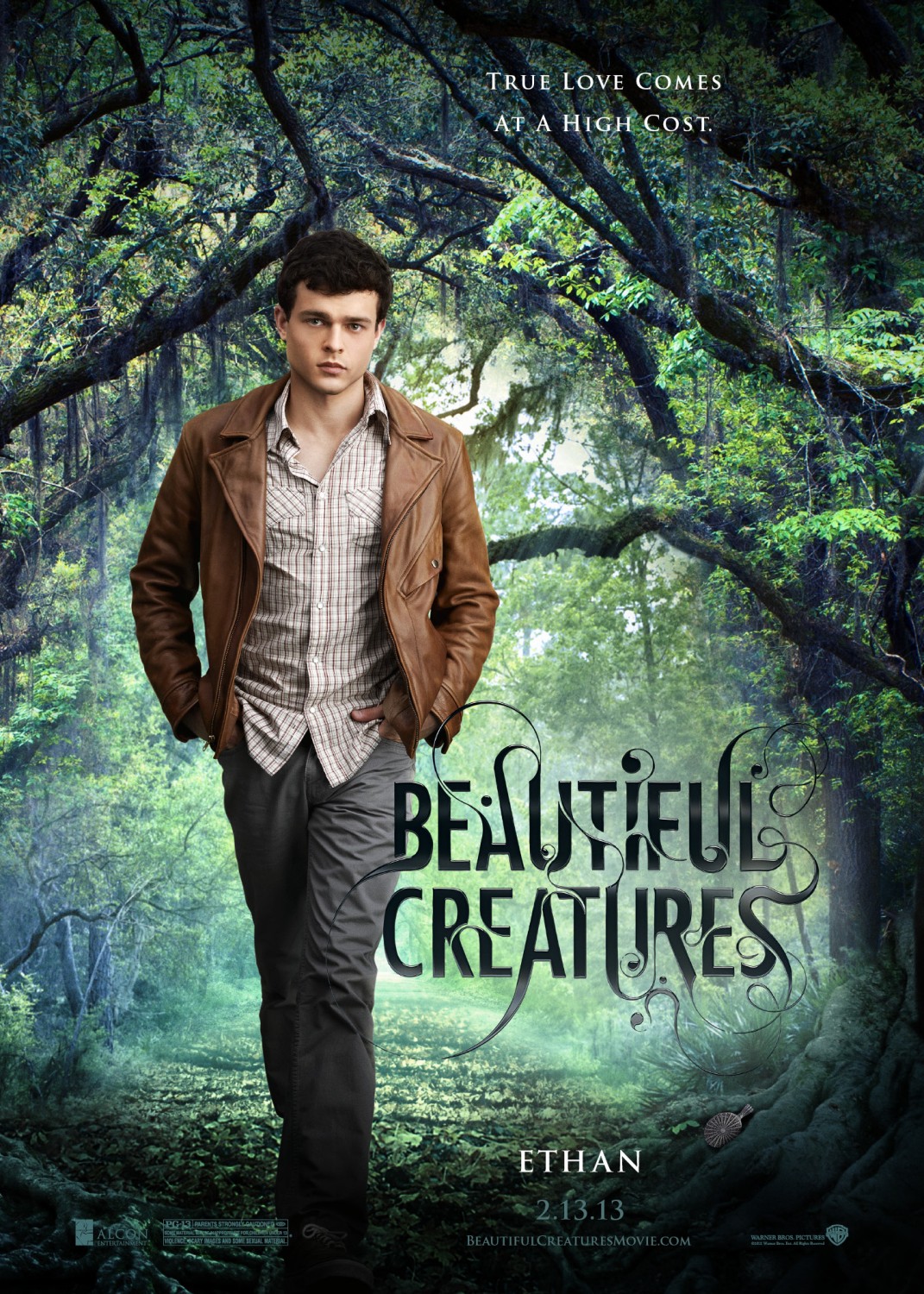 Extra Large Movie Poster Image for Beautiful Creatures (#5 of 14)