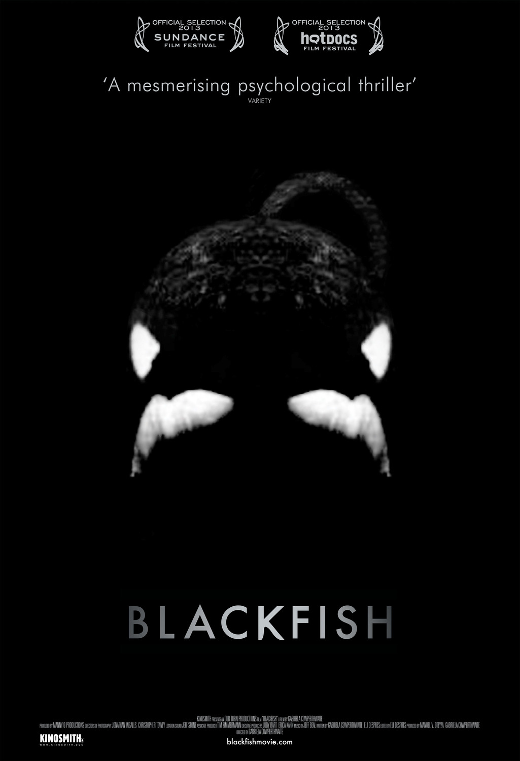 Extra Large Movie Poster Image for Blackfish (#2 of 3)