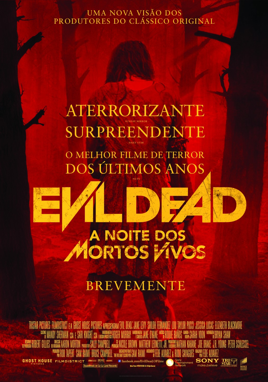 Evil Dead (DVD) (2013)