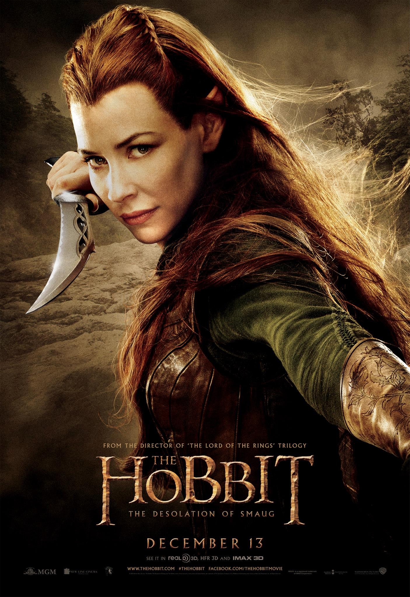 Mega Sized Movie Poster Image for The Hobbit: The Desolation of Smaug (#13 of 33)