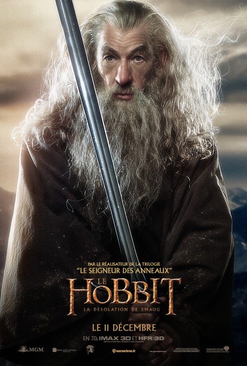 The Hobbit: The Desolation of Smaug download the last version for windows