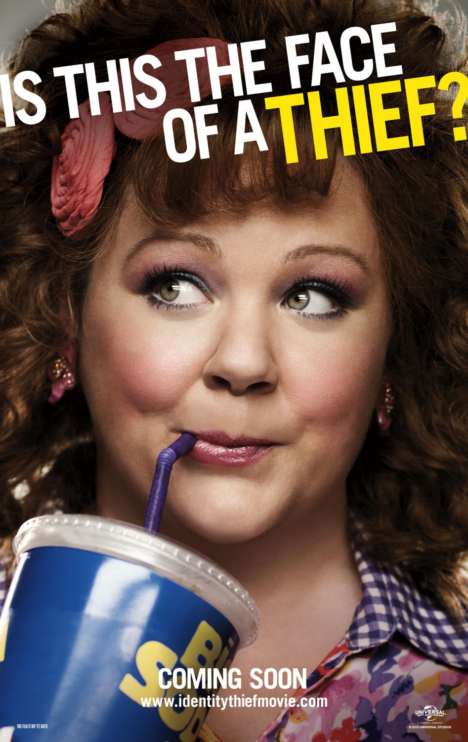 Extra Large Movie Poster Image for Identity Thief (#2 of 4)