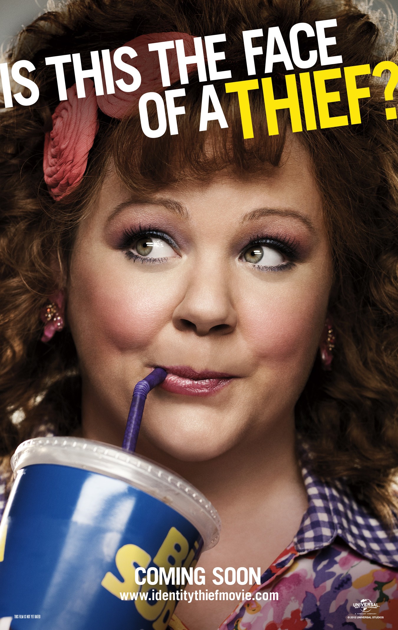 Mega Sized Movie Poster Image for Identity Thief (#2 of 4)