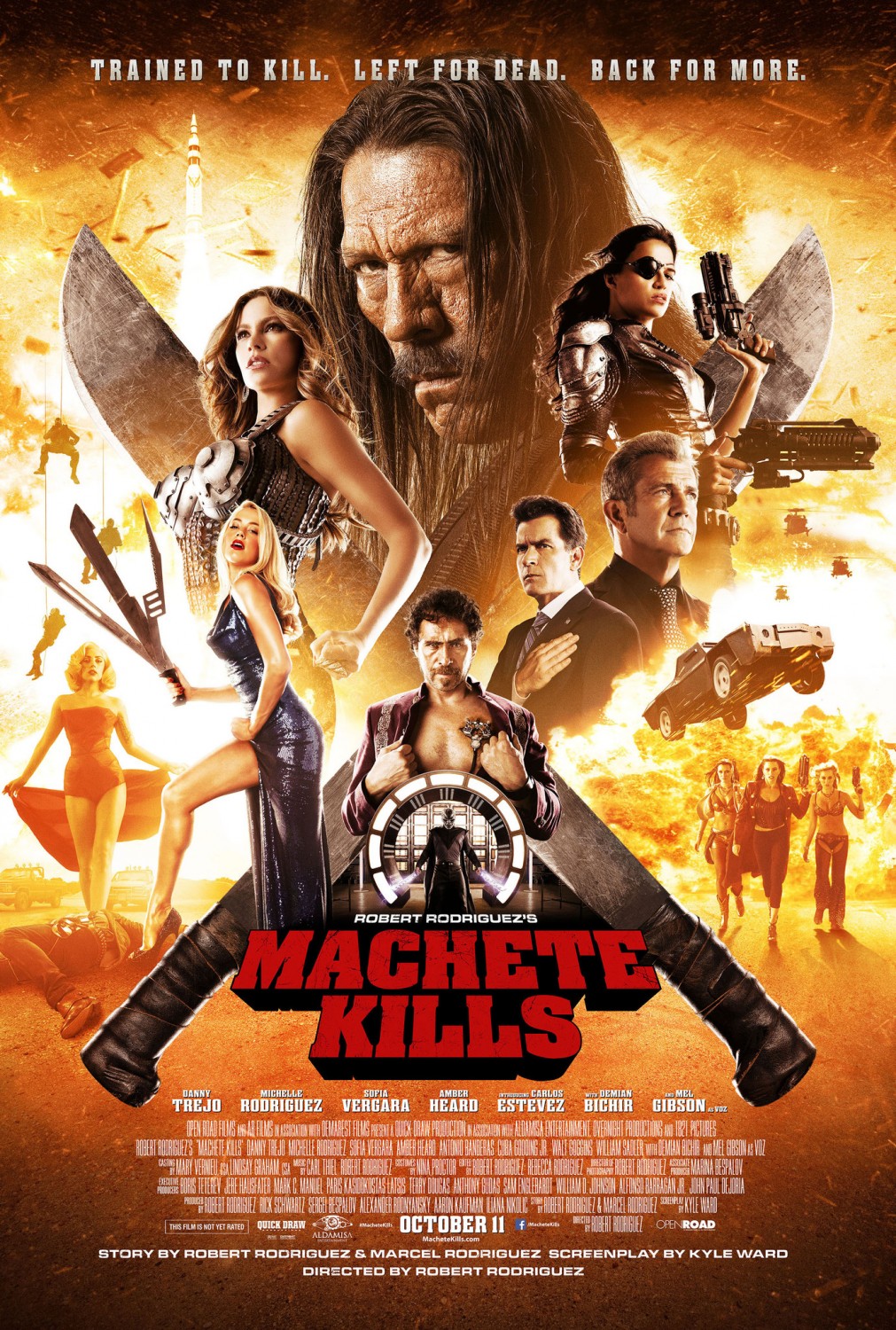 Extra Large Movie Poster Image for Machete Kills (#10 of 27)