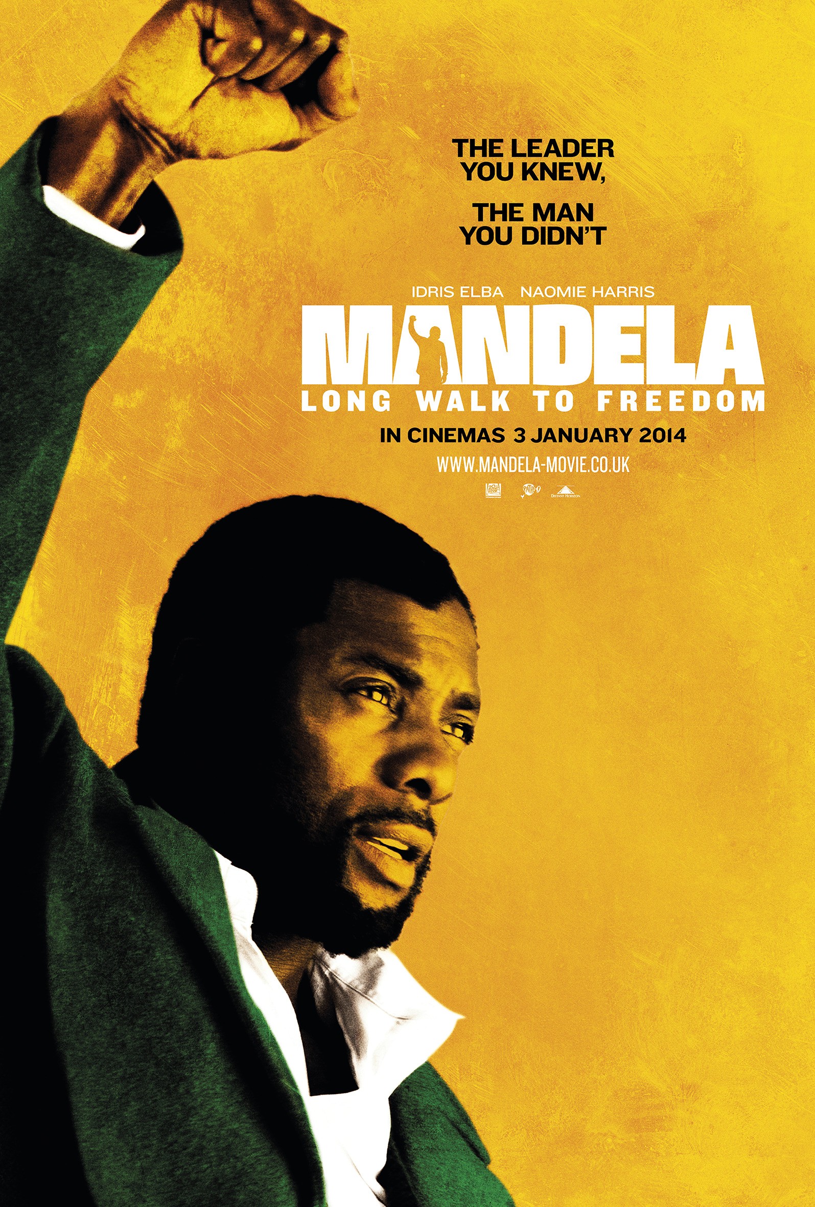 Mega Sized Movie Poster Image for Mandela: Long Walk to Freedom (#4 of 8)
