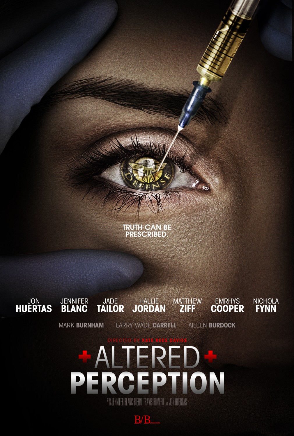 Extra Large Movie Poster Image for Altered Perception (#1 of 2)