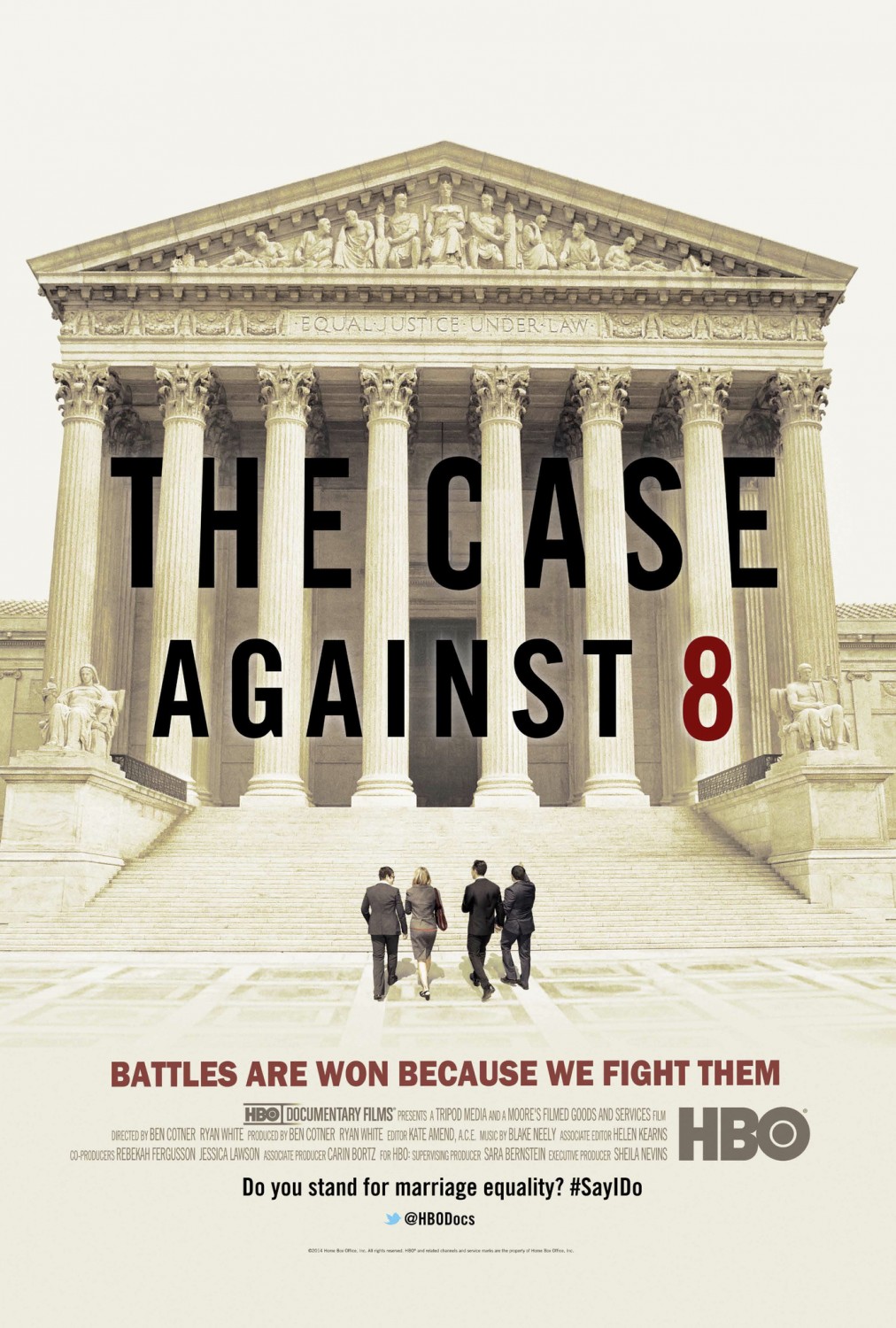 Extra Large Movie Poster Image for The Case Against 8 