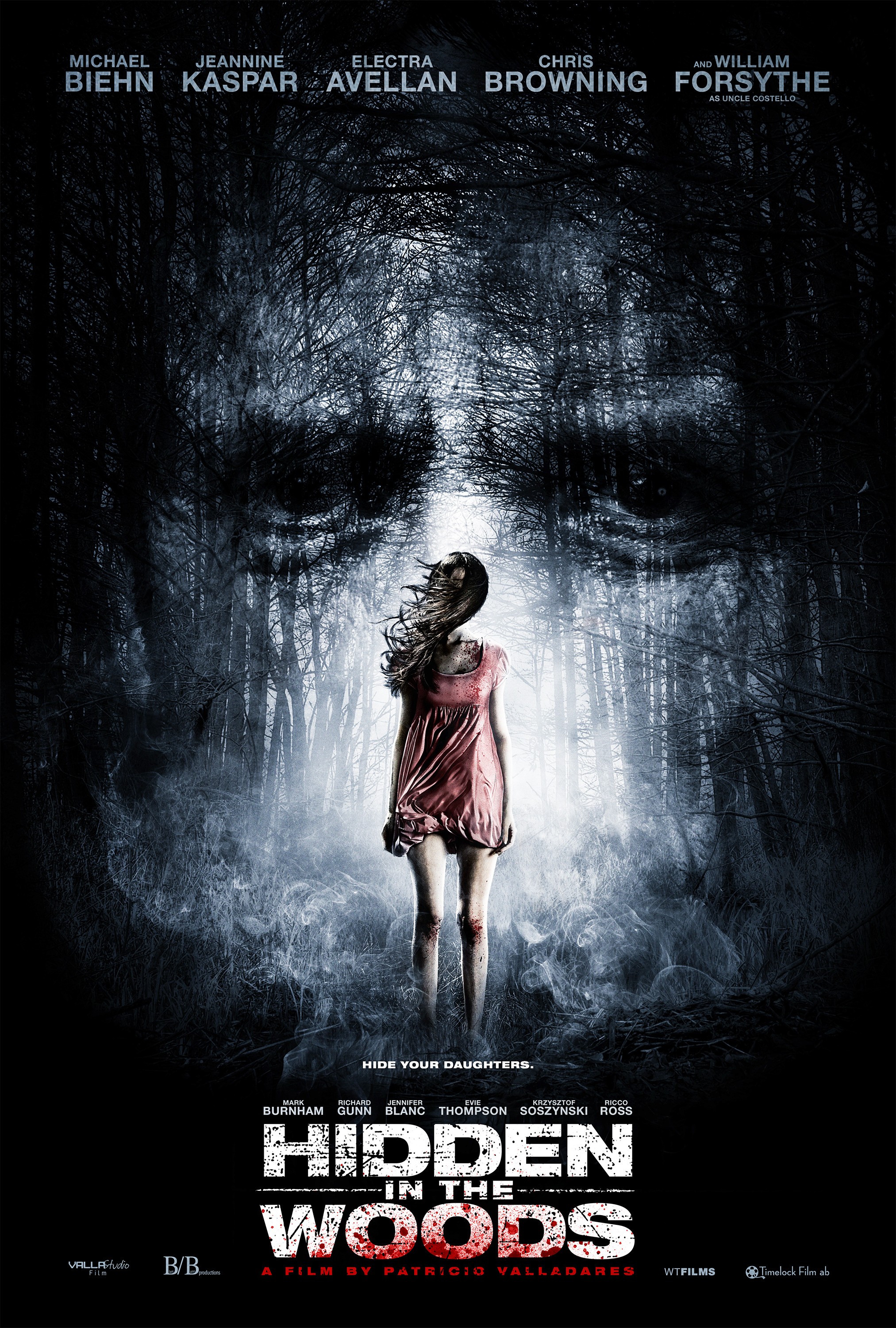 Mega Sized Movie Poster Image for Hidden in the Woods (#2 of 3)