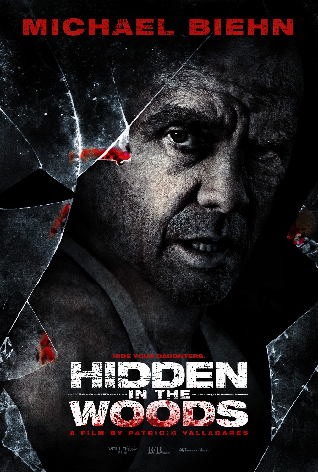 Extra Large Movie Poster Image for Hidden in the Woods (#1 of 3)